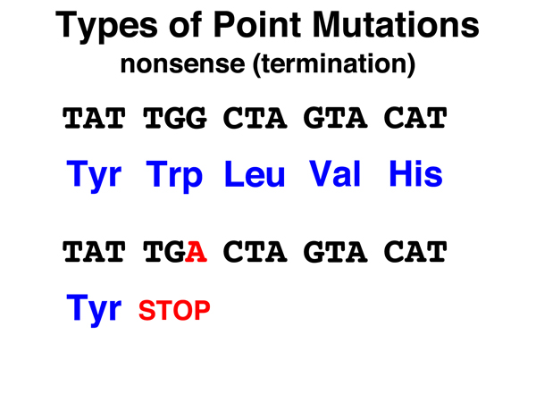 point mutations