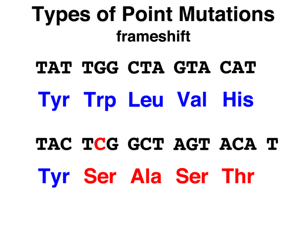 point mutations