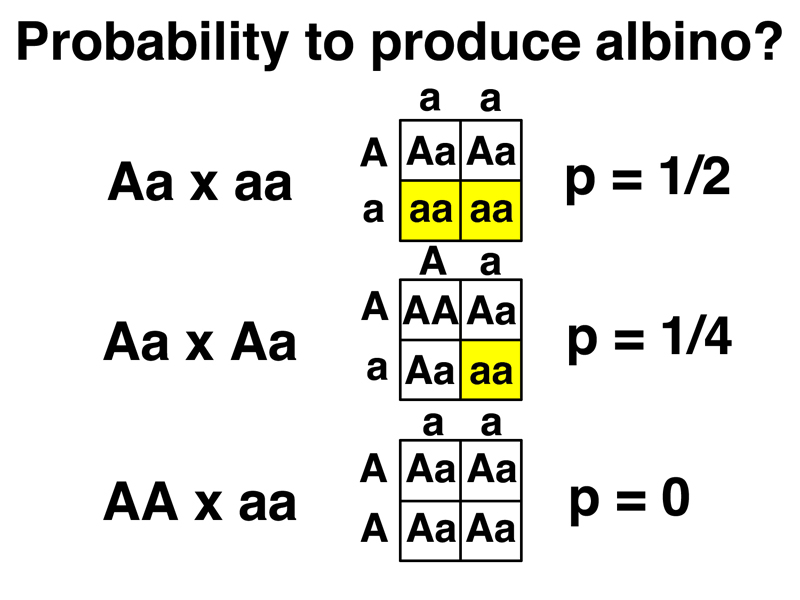 practice problem