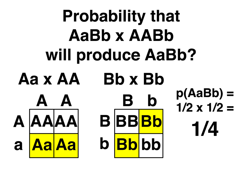 practice problem