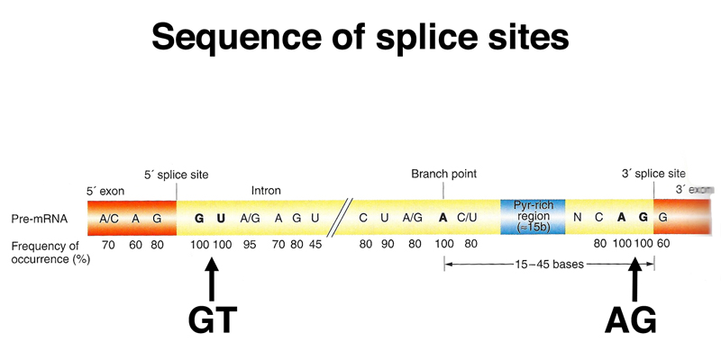 splice_signal