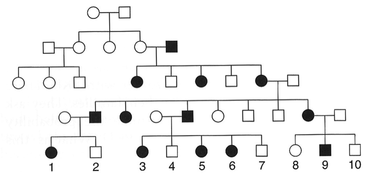 pedigree