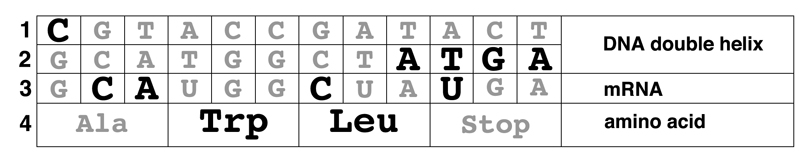Exam 2 Answer Key
