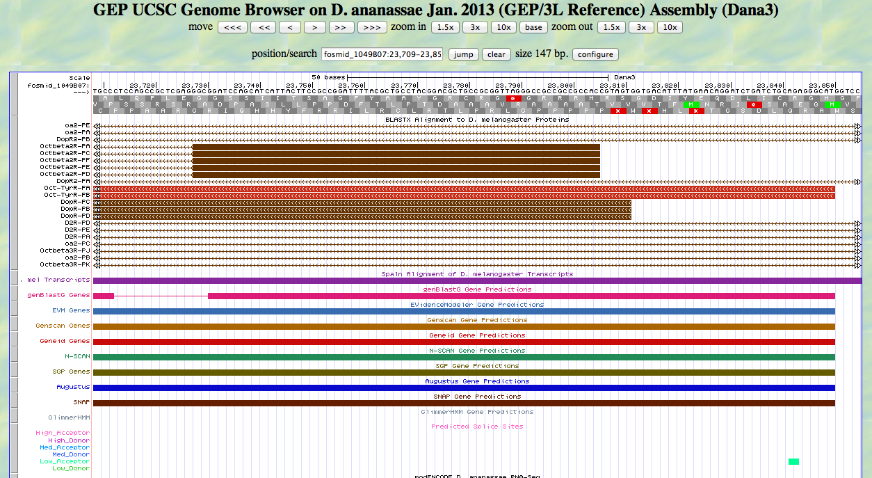GEP UCSC genome browser