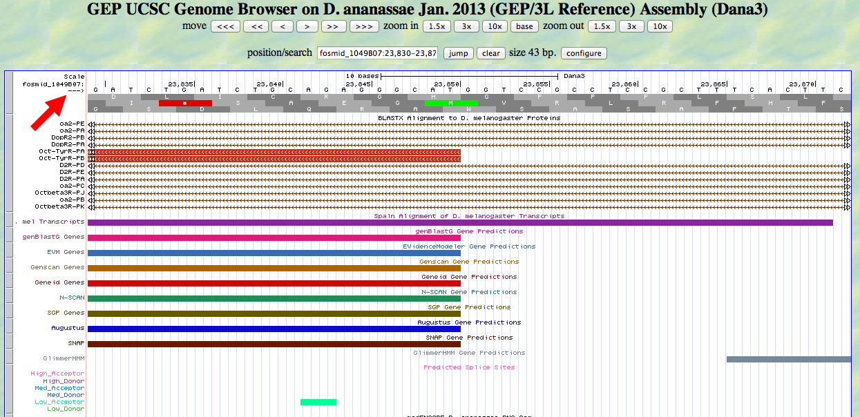 GEP UCSC genome browser