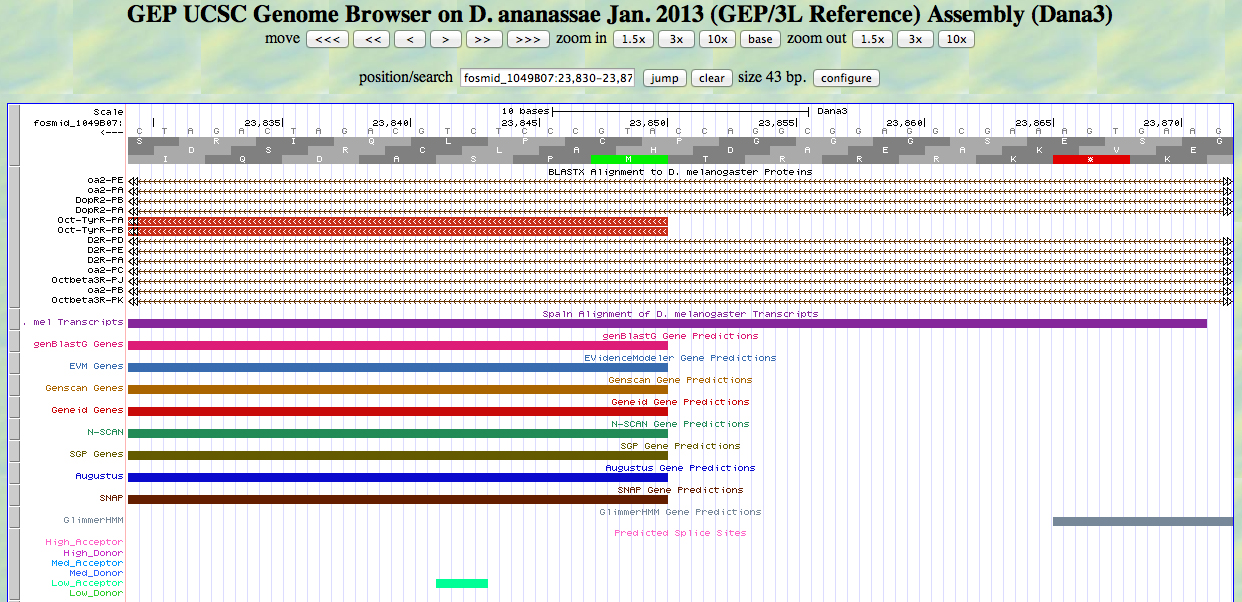 GEP UCSC genome browser