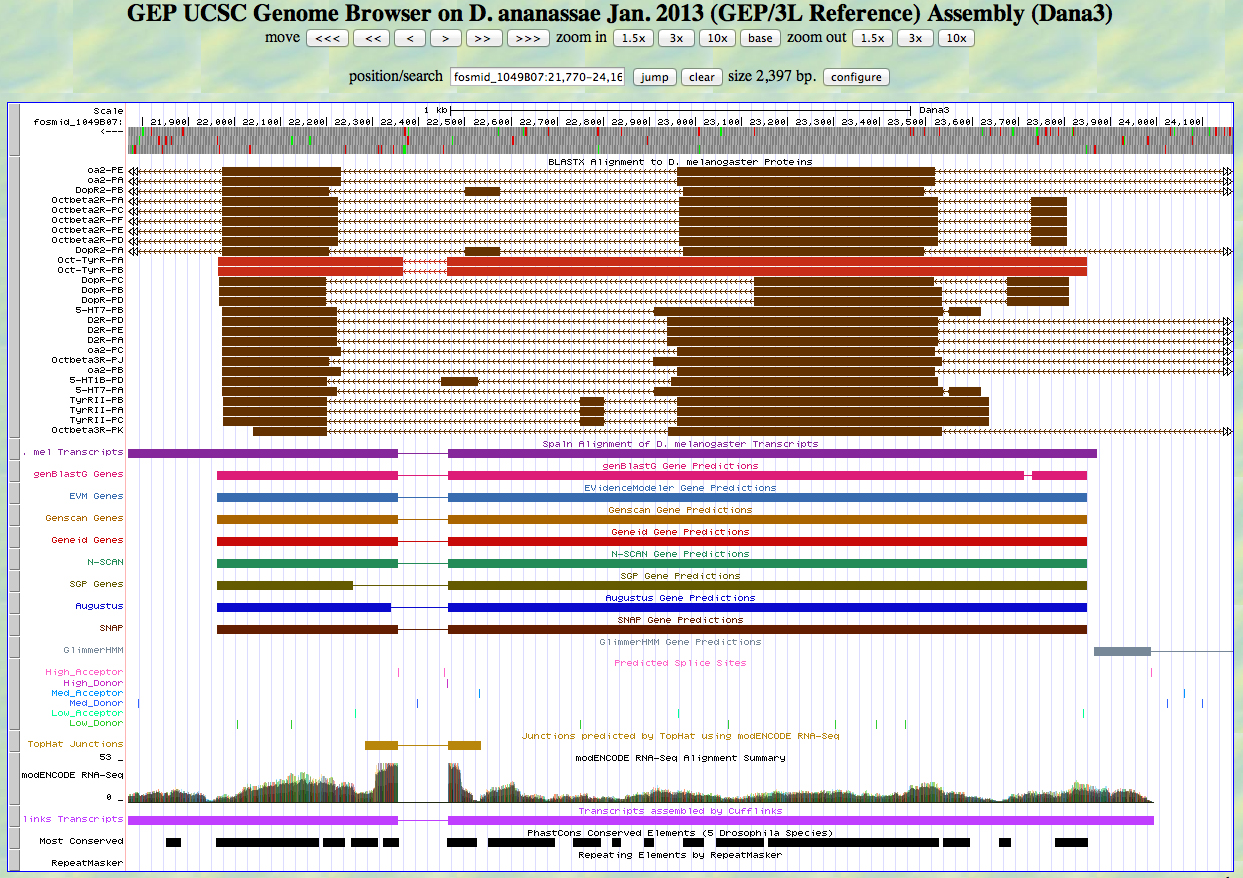 GEP UCSC genome browser