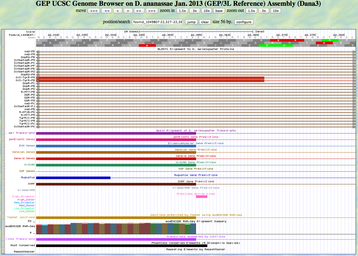 GEP UCSC genome browser