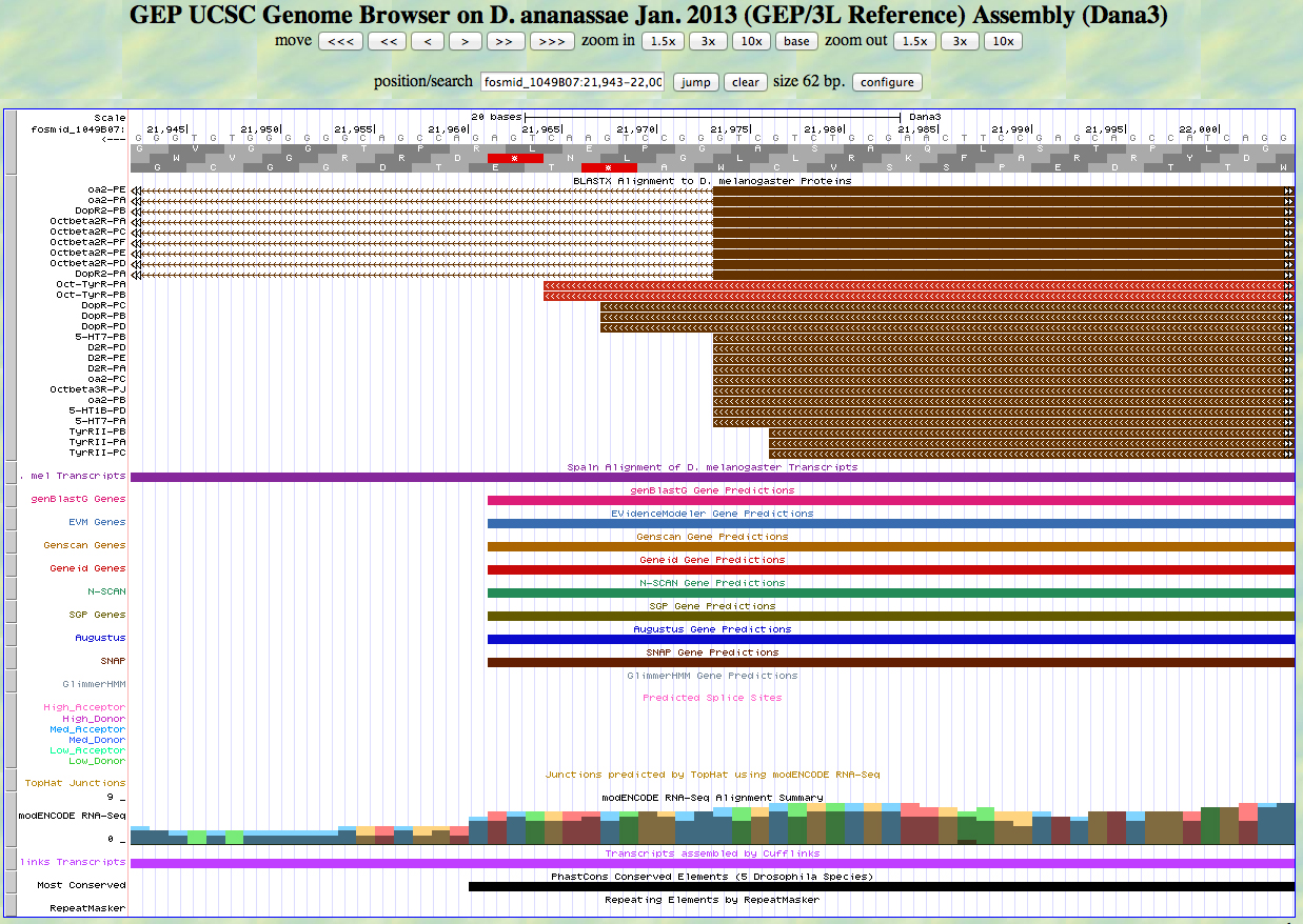GEP UCSC genome browser