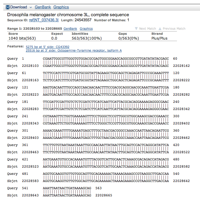 genomic megaBLAST