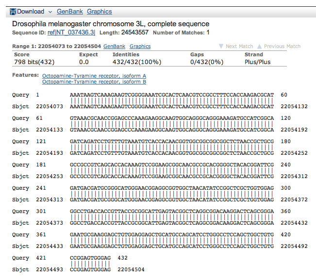 genomic megaBLAST