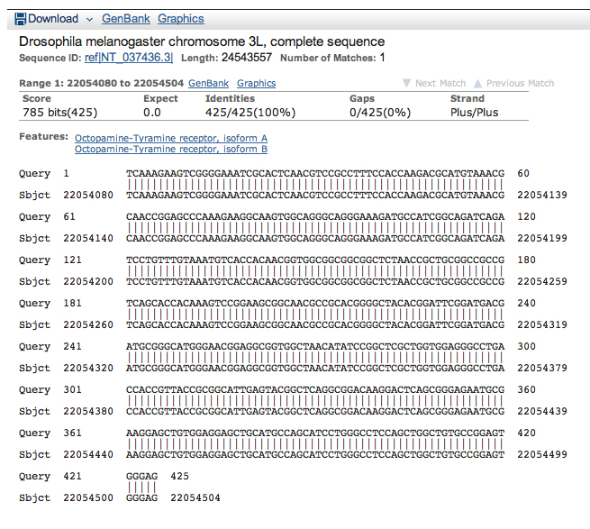 genomic megaBLAST