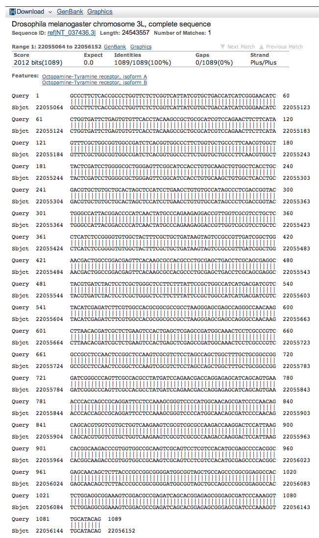 genomic megaBLAST