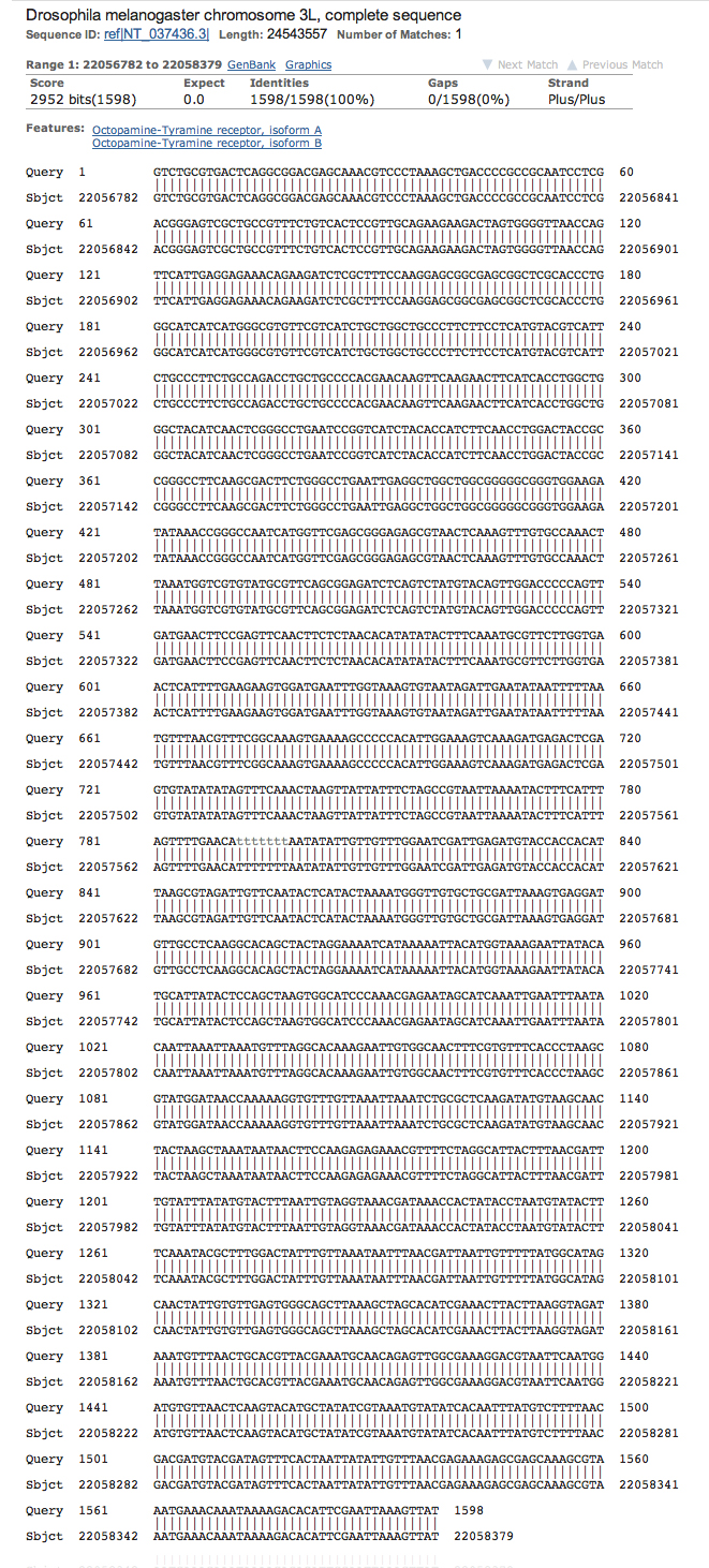 genomic megaBLAST