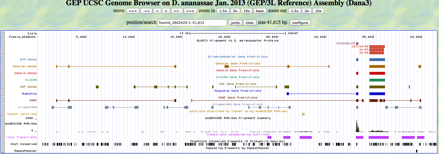 UCSC Genome Browser