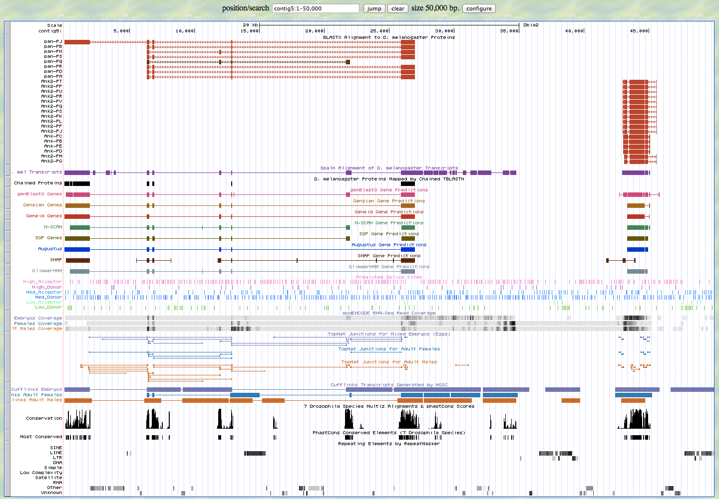 UCSC Genome Browser