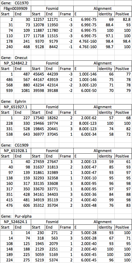 Excel sheet