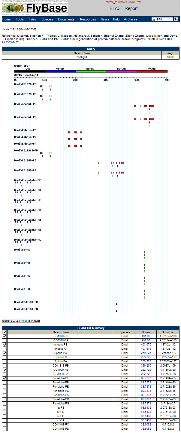 FlyBase BLASTX