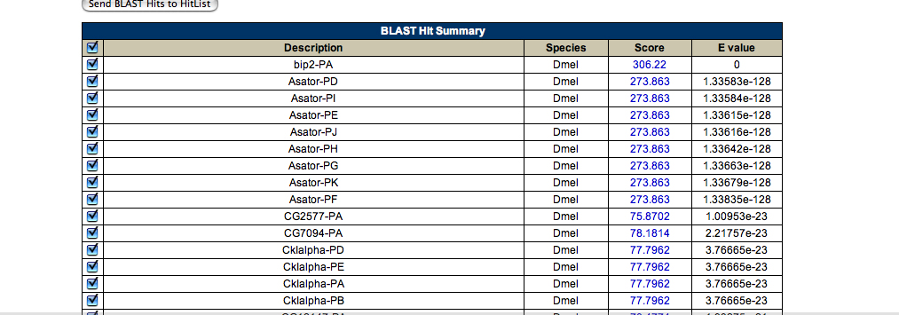 FlyBase Blast Report