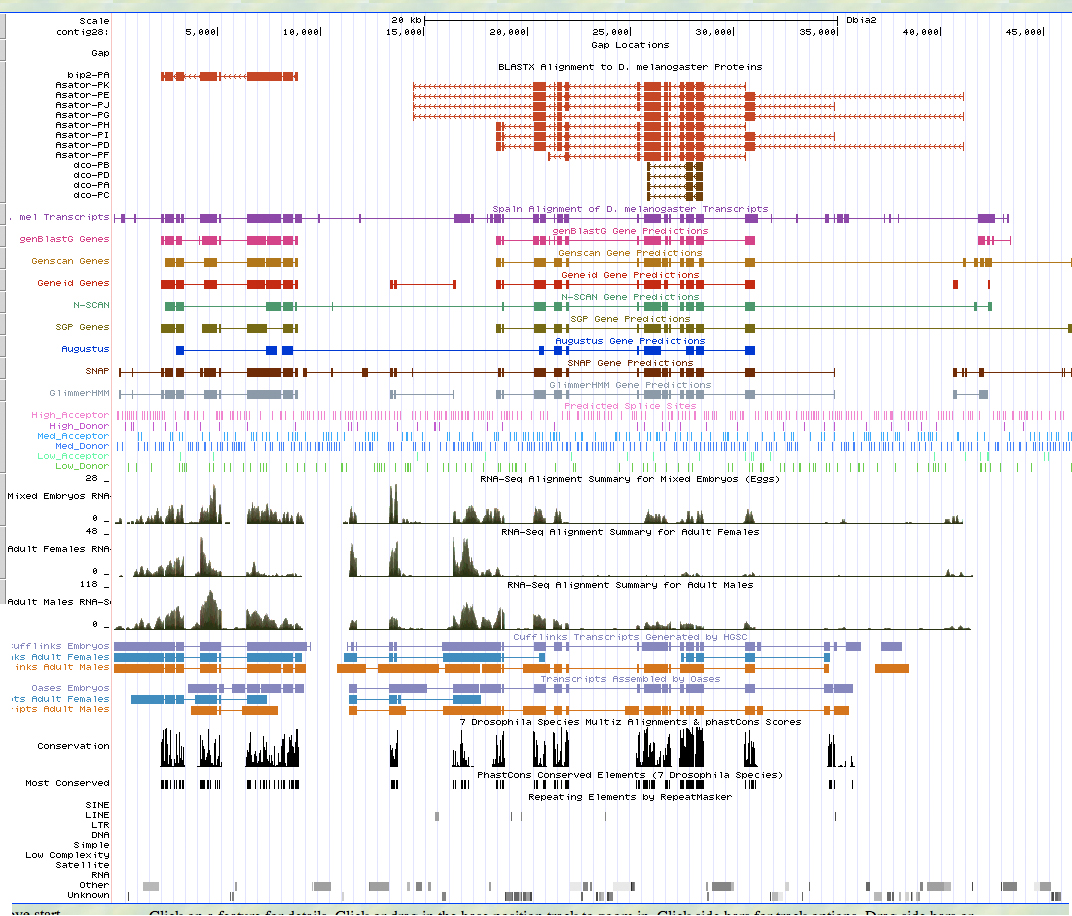 UCSC Genome Browser