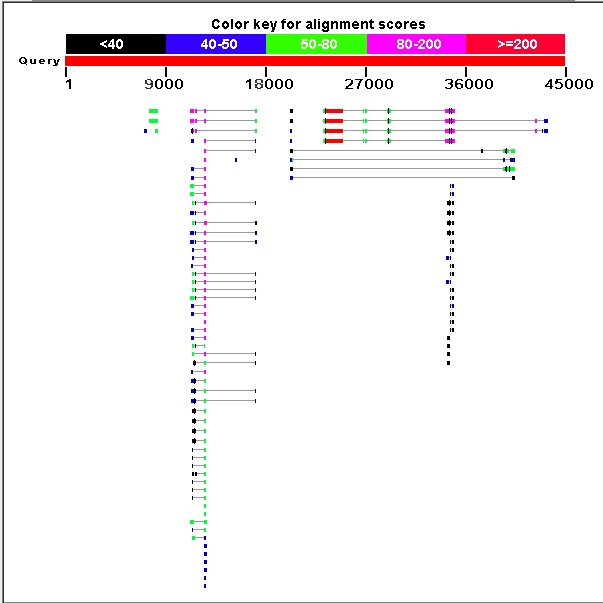 BLASTX results