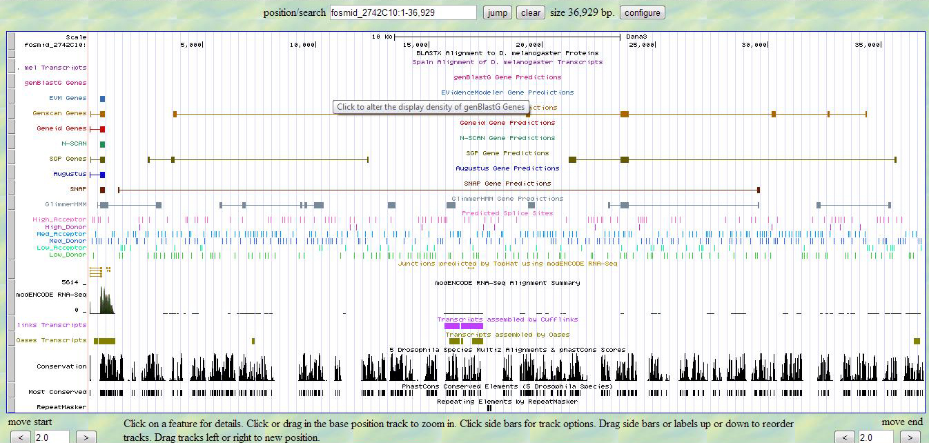 UCSC Genome Browser