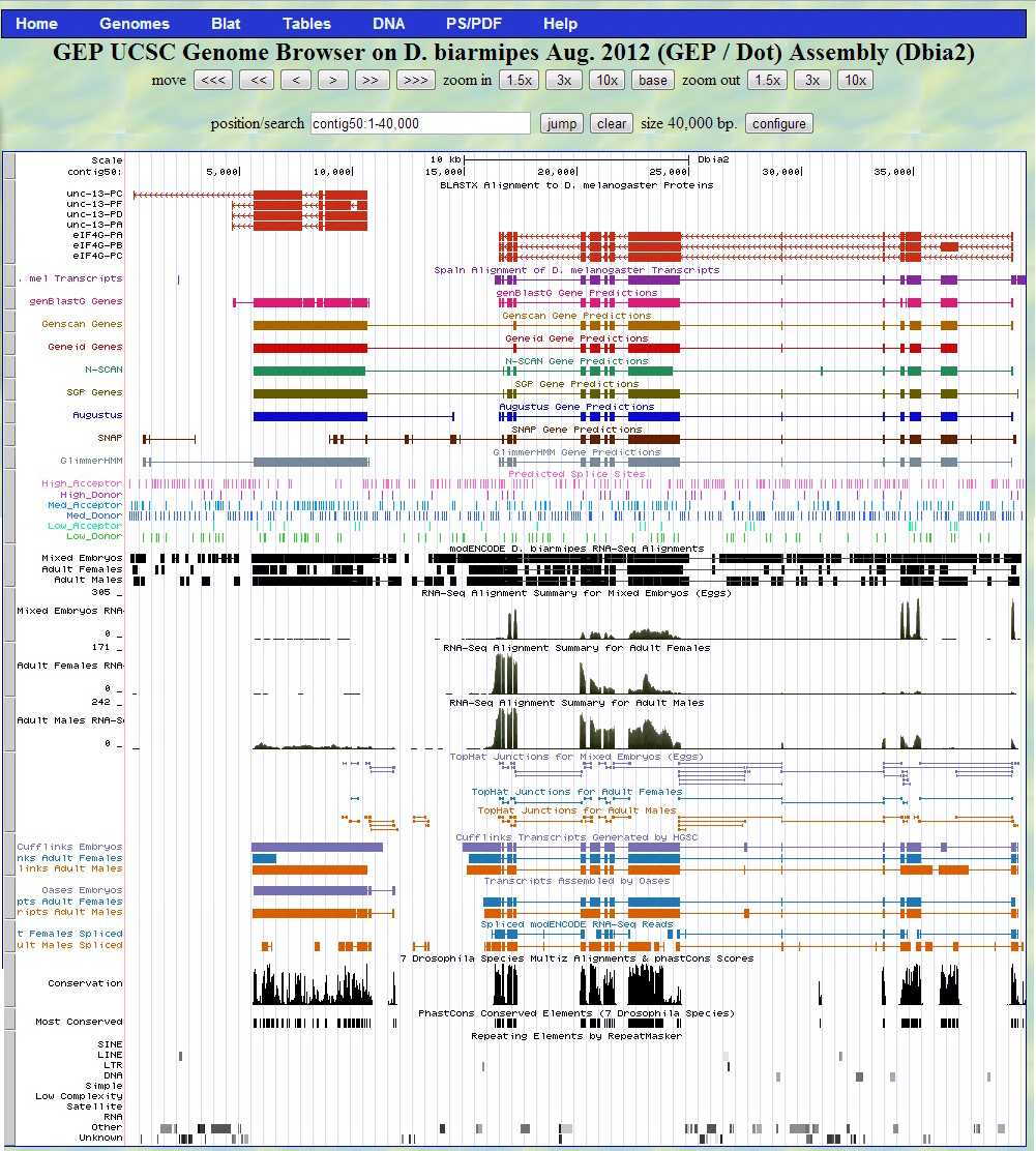 UCSC Genome Browser contig50