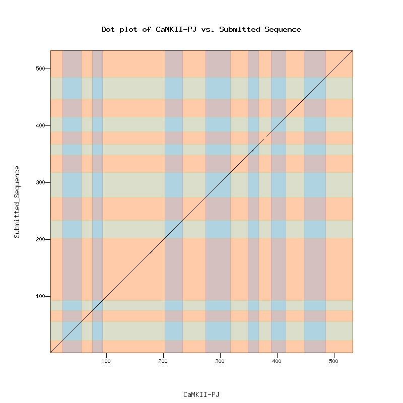 dotplot CaMKII