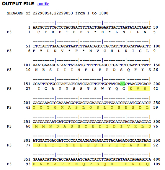 Dmel decorated sequence