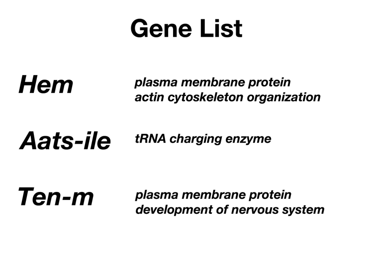 slide 1